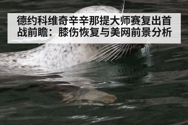 德约科维奇辛辛那提大师赛复出首战前瞻：膝伤恢复与美网前景分析