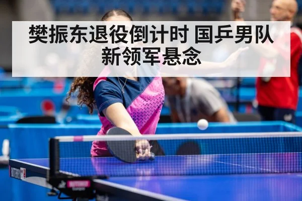 樊振东退役倒计时 国乒男队新领军悬念